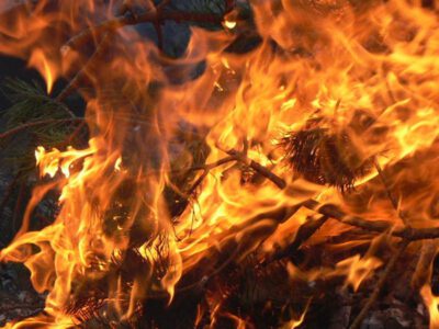 Szkoła Uwolnienia 501