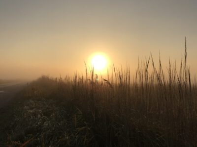 Konferencja Prorocza 2018